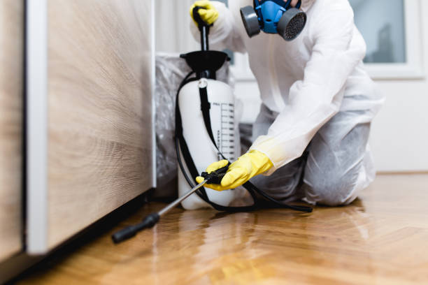 Best Wasp Removal Services  in Gloverville, SC
