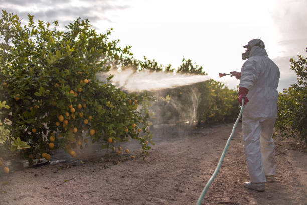 Best Mosquito Control Services  in Gloverville, SC