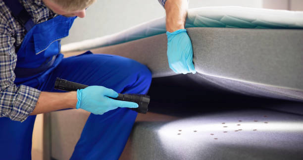 Best Local Pest Control Services  in Gloverville, SC