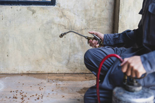 Wasp Removal Services in Gloverville, SC