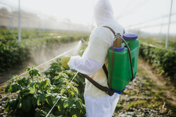 Best Exterminator Services  in Gloverville, SC